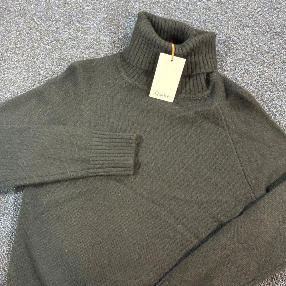 Quince 100% Yak Wool Turtleneck Sweater Womens Small Black Raglan Long Sleeve